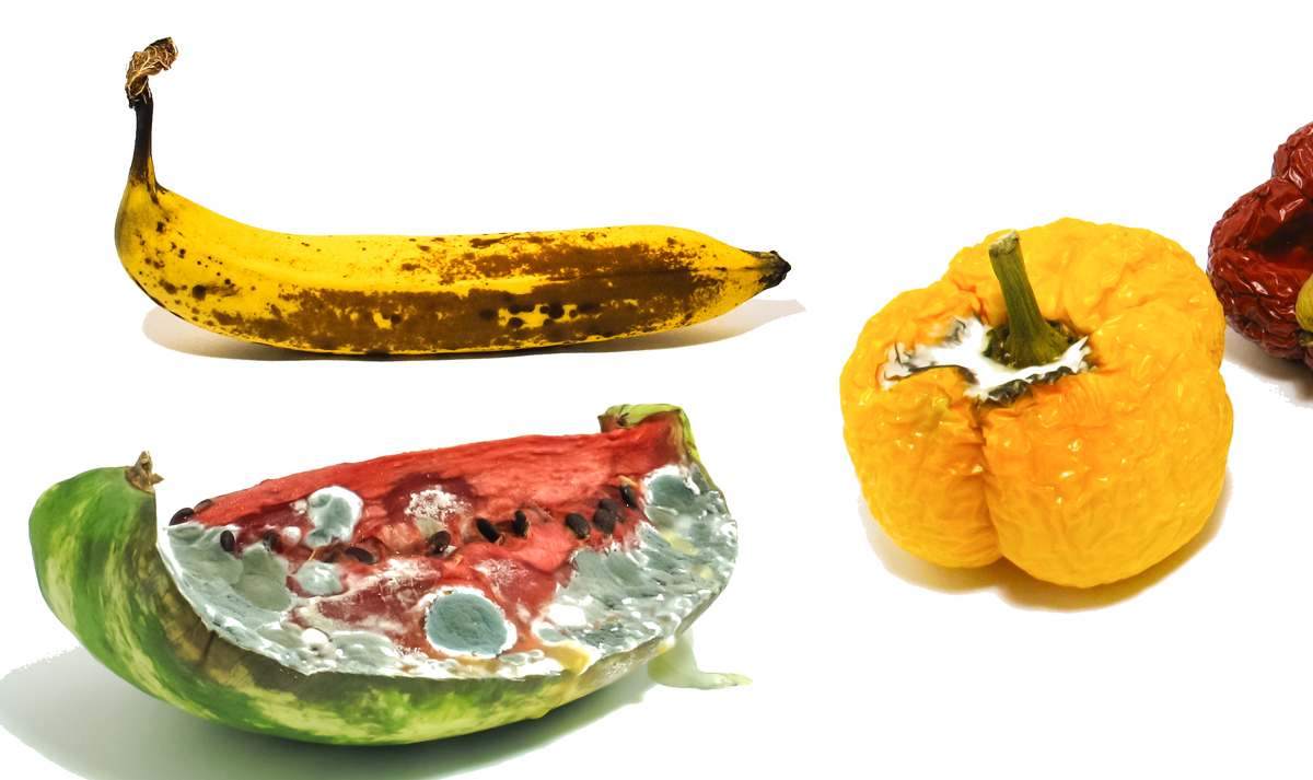 HD Collection »Rotting Fruits« Timelapse Video Footage Clips