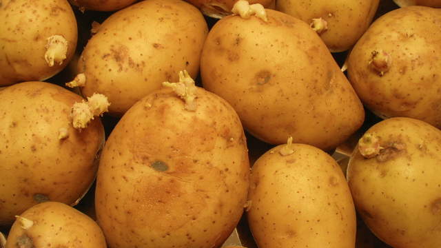 Potatoes