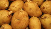 Time lapse clip - Potatoes