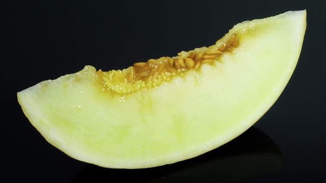 Honey Melon