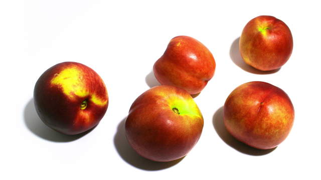 Nectarines