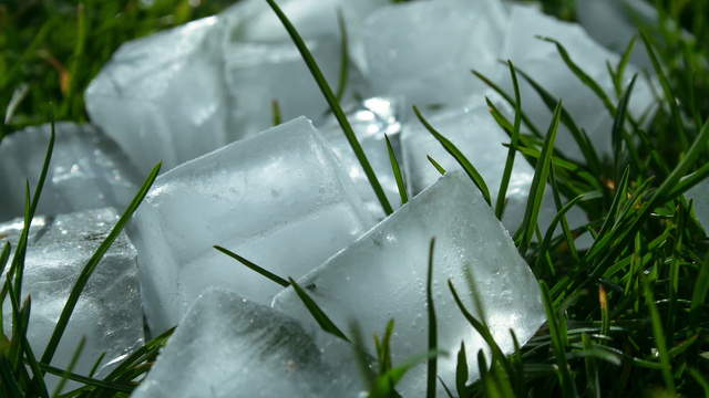 Melting Ice Cubes