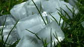 Time lapse clip - Melting Ice Cubes