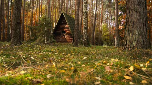 Forestcabin in autumn Time Lapse 4K/Ultra HD