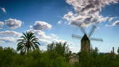 Time lapse clip - Windmill and Palm Trees