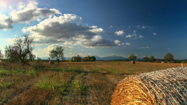 Mallorca Field with Straw Bale