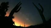 Time lapse clip - Saguaro National Park