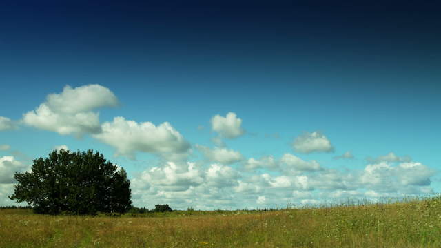 Summer clouds move through natural landscape – pan