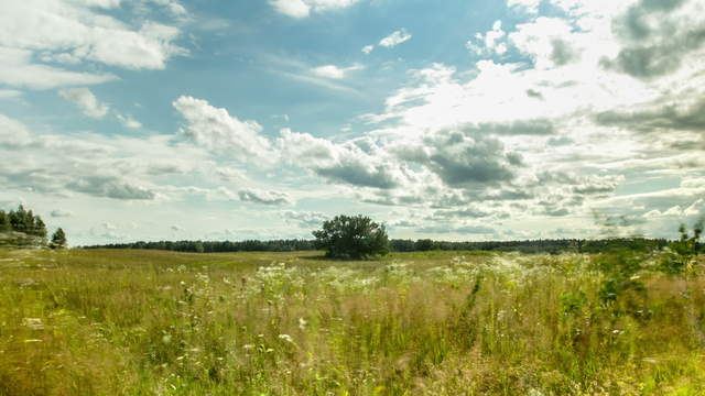 Summer clouds move in natural landscape straight to the camera – tilt upwards