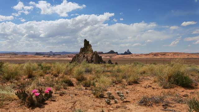 Keyenta desert