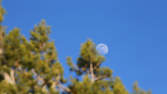 Time lapse clip - Moon