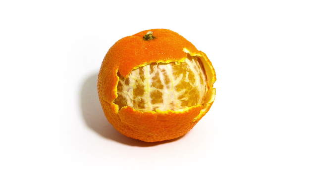 Rotting Tangerine (Mandarin Orange)