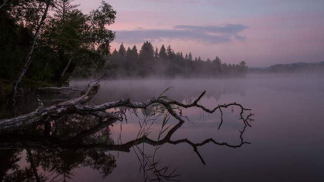 Sunrise at the lake