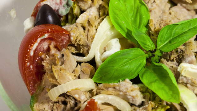 Tuna Salad Mold-Timelapse Close-Up