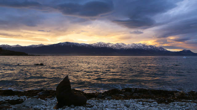 Heart shaped cloud and see monkey in New Zealand