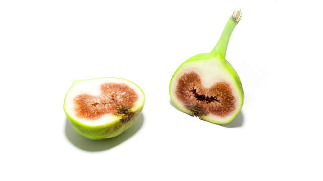 Fig Fruit 4K Video