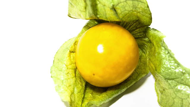 Physalis - Cape Gooseberry 4K