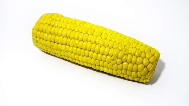 Rotting Corn Cob 4K