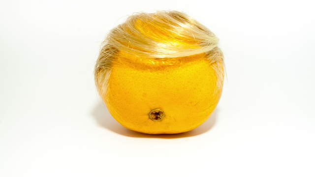 Rotting Orange With Hair