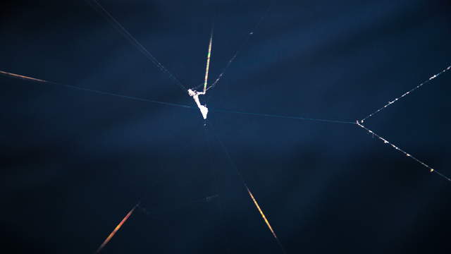 Spider Net 6K