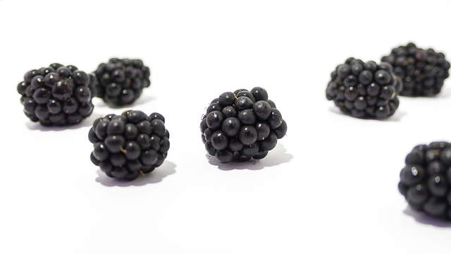 Blackberry Bramble Fruit