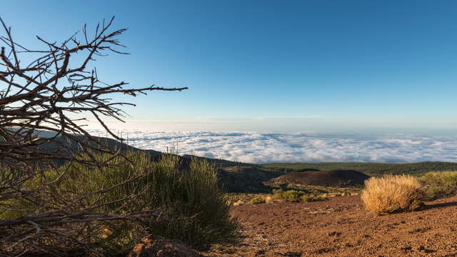 Sea Of Clouds Tenerife