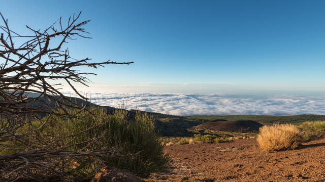 Sea Of Clouds Tenerife