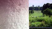 Time lapse clip - English Garden Munich