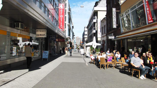 Frontal Hyperlapse zOOm Walk towards 3 pigs at Neckarpromenade Mannheim