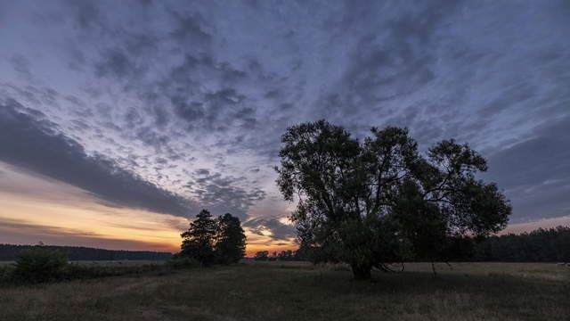 Sunrise at Prignitz