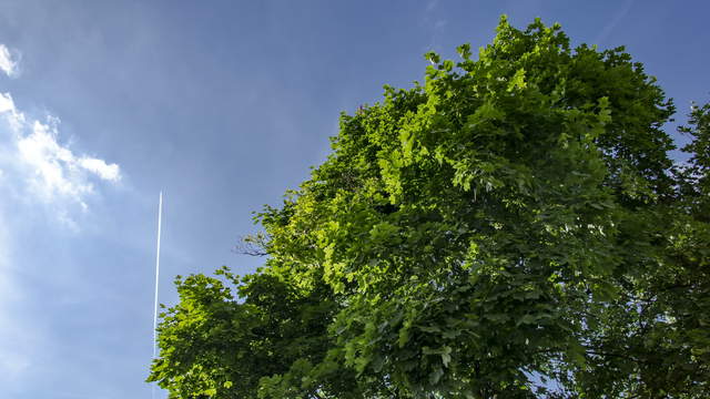 Düsseldorf - Hyperlapse of Rheintower