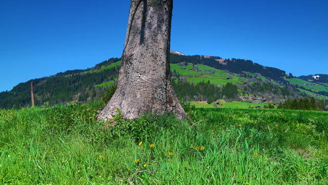 Hohe Salve, Austria