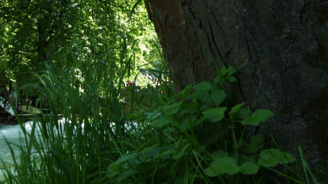 Munich Eisbach Slider Shot