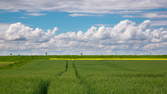 Time lapse clip - Field with Clouds