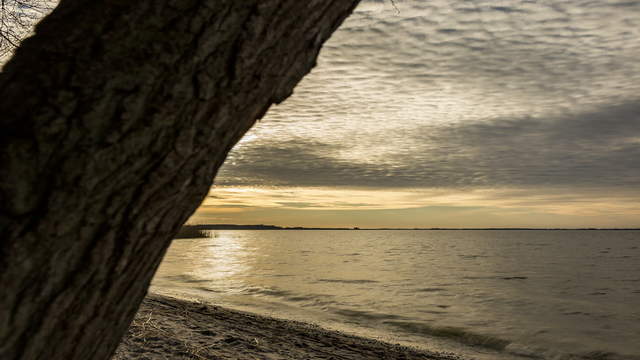 Backwaters on Usedom