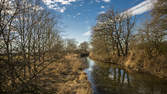 Time lapse clip - Swans on river