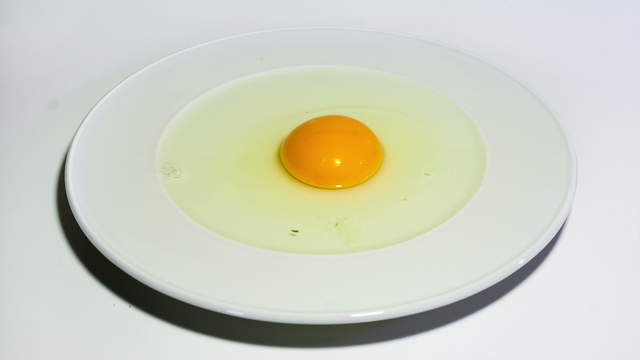 Egg