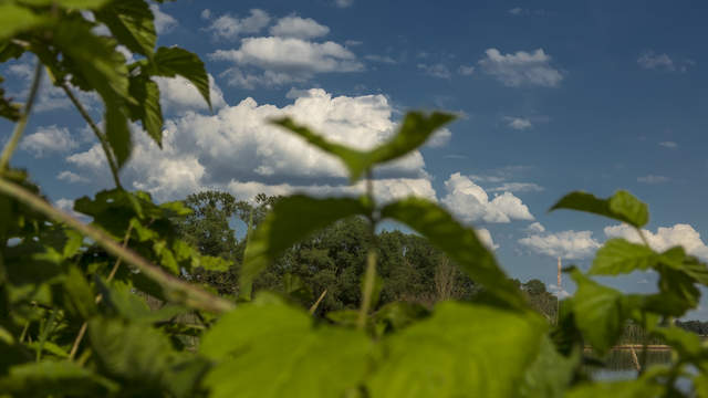 Clouds on the Elbe