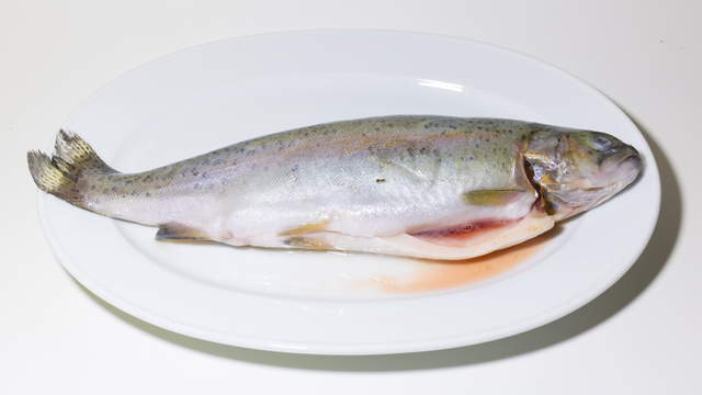 Fish - Trout
