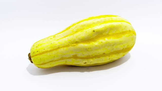 Gourd Pumpkin yellow white