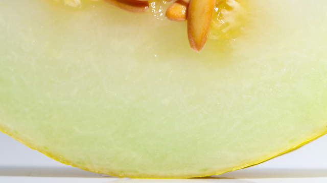 Ants vs Melon Sideview