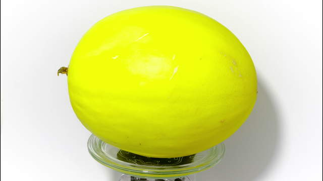 Honeydew Melon on Scale - detail