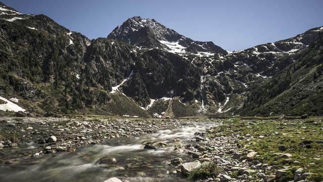 Sheeps at the sulzenaualm, tyrol