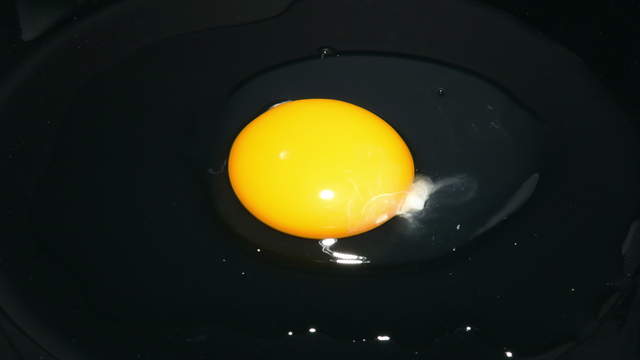 Crystallizing Egg
