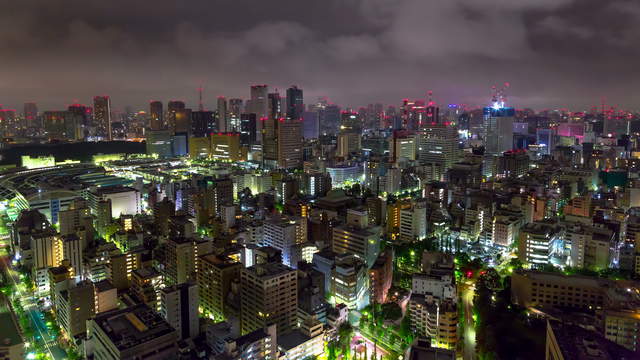 Tokyo from above