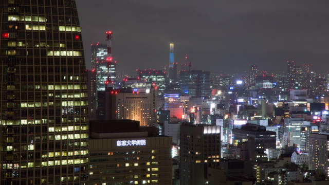 Skyline Tokyo with Skytree