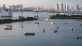 Time lapse clip - Odaiba Marine Park at Dusk