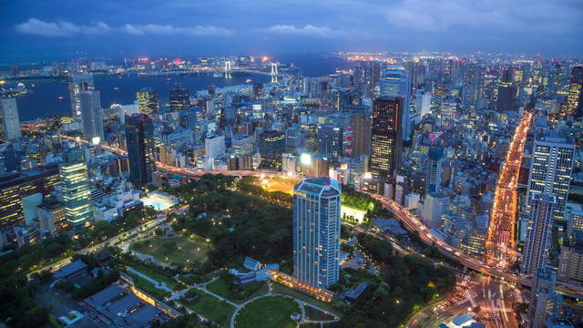 Tokyo View Dusk