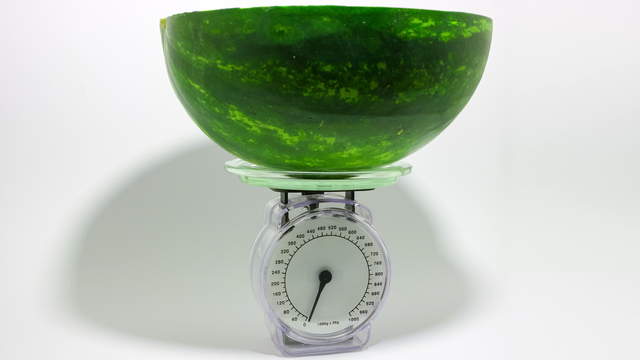 Watermelon on Scale Sideview