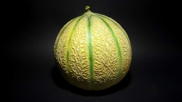 Charentais Melon